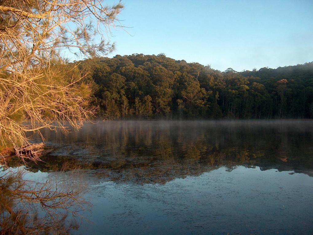 Lakeshore Lodge Milton Εξωτερικό φωτογραφία